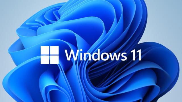 Програмен продукт с лицензен стикер Microsoft Windows 11 Pro for Wrkstns 64Bit English 1pk DSP OEI DVD