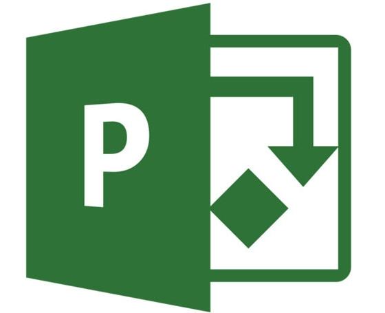 Програмен продукт Microsoft Project Pro 2021 Win English Medialess