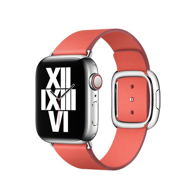 Каишка за часовник Apple Watch 40mm Band: Pink Citrus Modern Buckle - Large (Seasonal Fall 2020)