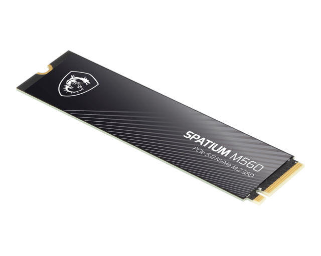 MSI SPATIUM M560 1TB, NVMe M.2 2280 PCIe 5.0