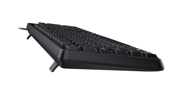 Клавиатура Genius Smart Keyboard KB-117 Black - AI, BG Layout, USB