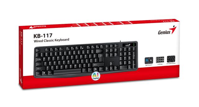 Клавиатура Genius Smart Keyboard KB-117 Black - AI, BG Layout, USB