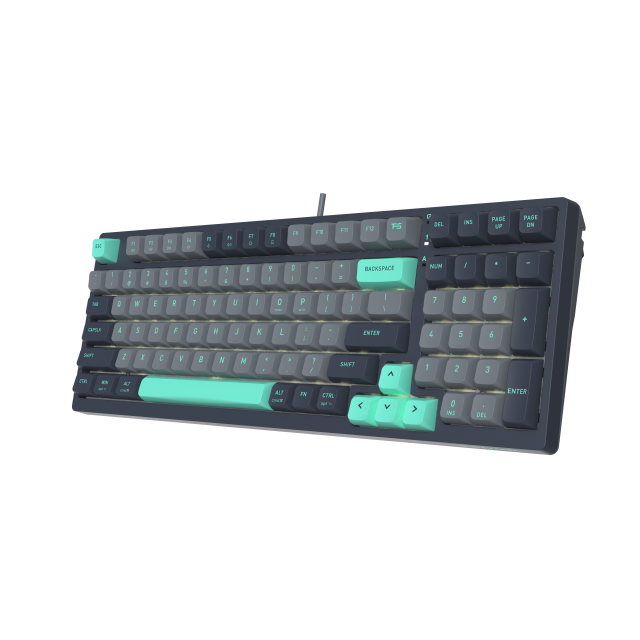 Клавиатура A4tech Fstyler FGS300 Panda Rock Механична TKL