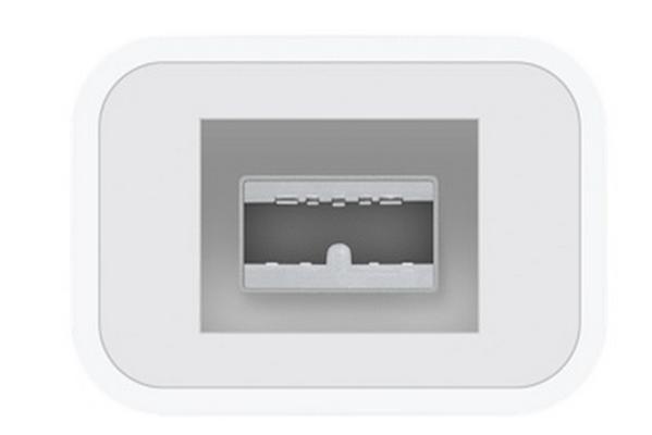 Адаптер Apple Thunderbolt to FireWire Adapter