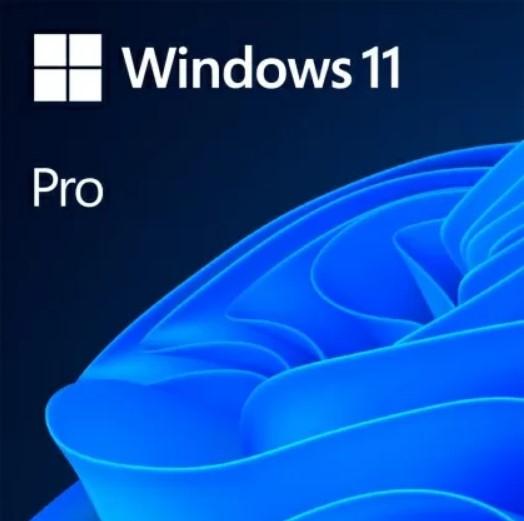 Програмен продукт с лицензен стикер Microsoft Windows 11 Pro 64Bit Bulgarian 1pk DSP OEI DVD