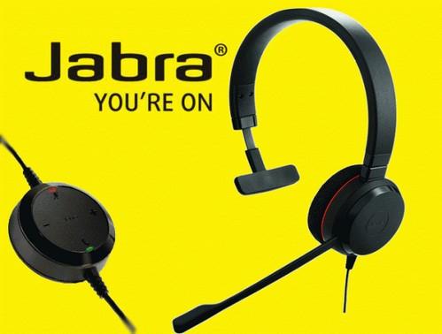 Слушалки Jabra Evolve 20 MS Mono USB-C, микрофон, пасивно неутрализиране на шумa, черни