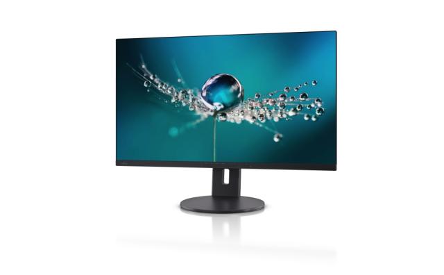 Монитор Fujitsu DISPLAY B32-9 TS 31.5" Ultra Narrow, LED, Business Line, IPS, 5 ms, 1000:1, 350 cd/m, 3840x2160 UHD, 1xDP 1.2, 2xHDMI, USB, 5-in-1 stand, Sp.2x3W, Height adj.130mm, Tilt angle -5°/+35°, Swivel angle 345°, Matt black