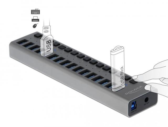 USB хъб Delock, 16 Ports + Switch, Висока скорост, Подсветка, Сив