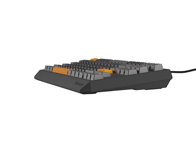 Клавиатура Genesis Gaming Keyboard Thor 230 TKL Anchor Gray Positive US RGB Mechanical Outemu Red