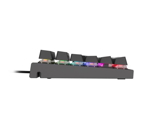 Клавиатура Genesis Mechanical Gaming Keyboard Thor 300 RGB US Layout RGB Backlight Red Switch Software