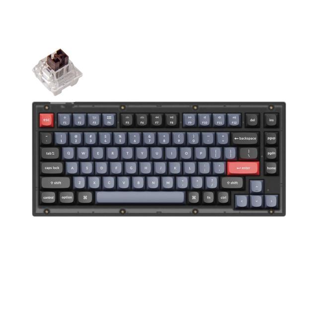 Геймърска механична клавиатура Keychron V1 QMK Frosted Black TKL Keychron K Pro Brown Switch RGB LED PBT