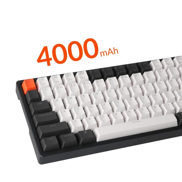 Геймърска Механична клавиатура Keychron K2 Hot-Swappable Compact Gateron Red Switch White LED Gateron Red Switch ABS