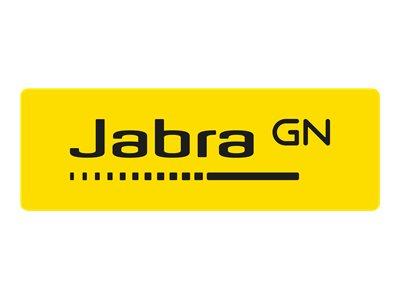 Слушалки Jabra Evolve 20 стерео, MS, USB-А, Special Edition, 4999-823-309